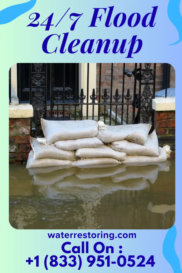 24/7 Flood Cleanup in Queen City, TX