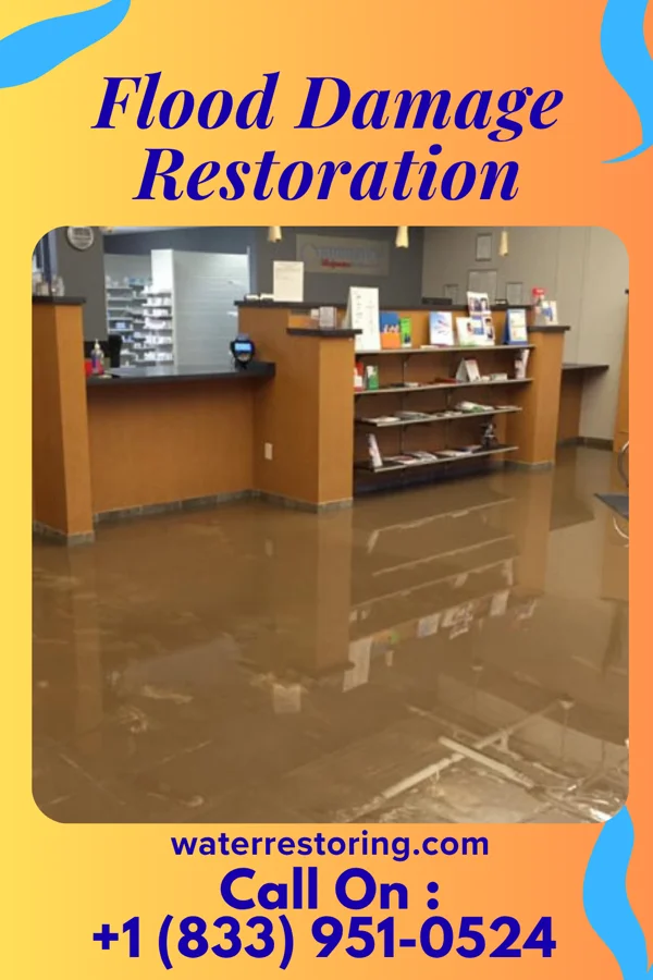 Flood Damage Restoration in Queen City, TX